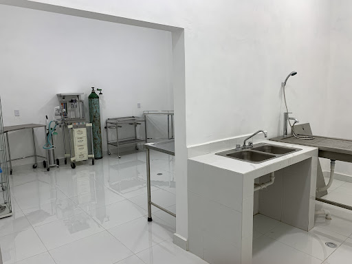 Hospital Veterinario Madero - Thumbnail