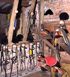 Photo n°7 de Ferme Equestre de Bois Guilbert à Bois-Guilbert (Lodge)