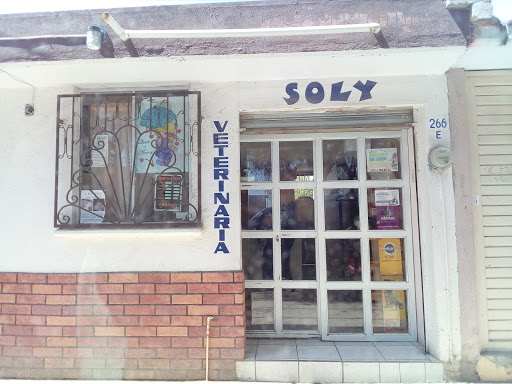 Veterinaria Soly - Thumbnail
