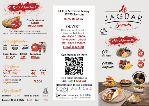 Photo 1 - Le jaguar