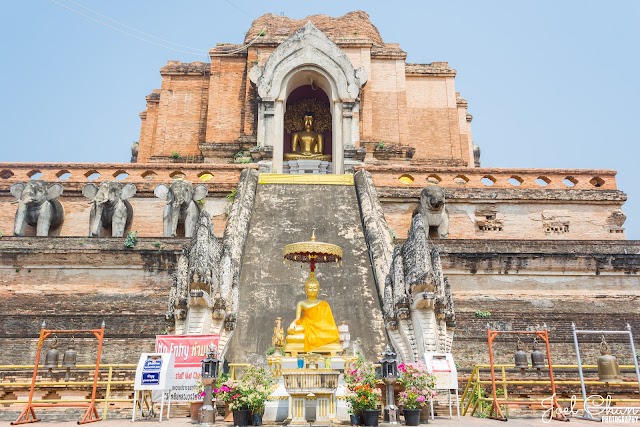 Wat Chedi Luang Worawihan清邁古城寺廟