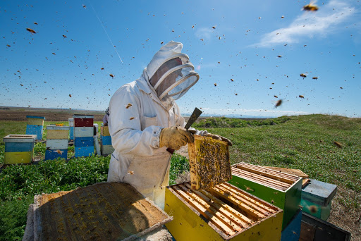 The Honey Mill - Thumbnail