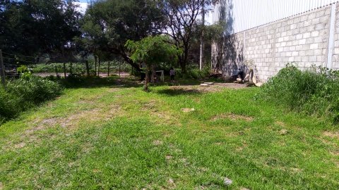 RANCHO LOS FINOS - Thumbnail