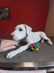 Photo n°11 de Clinique vétérinaire d'Arudy de garde 7J/7 et 24h/24 à Arudy (Urgences vétérinaires)