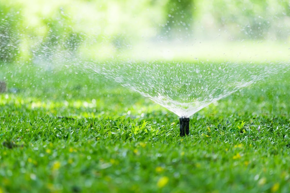 Entretien de jardins