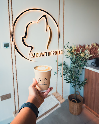 Meowtropolis Cat Cafe - Cafe