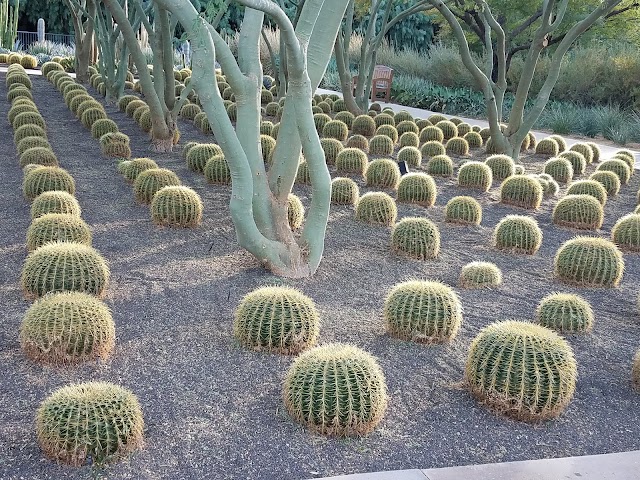 Sunnylands Center & Gardens