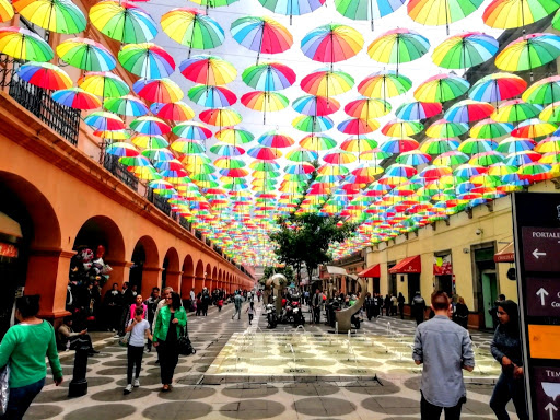 Tienda Milano Toluca - Thumbnail