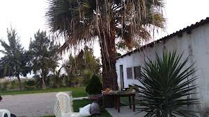 Finca Las Caobas 3