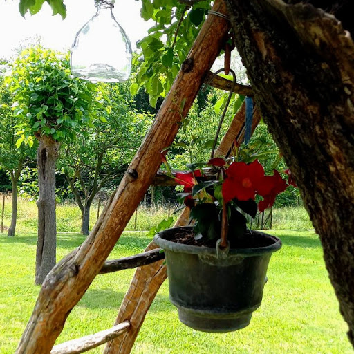 BB Santa Fosca - Thumbnail