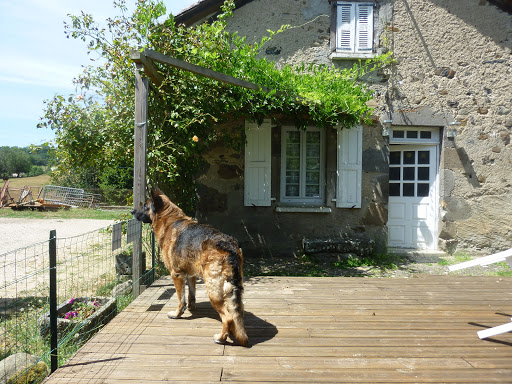 Gite De Cayla Jussac - Thumbnail