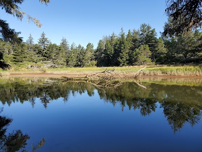 WAXMYRTLE CAMPGROUND