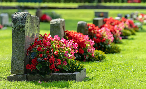 Tidy Graves - Hastings - Thumbnail