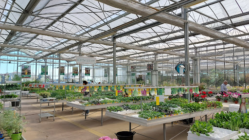 Minelli Garden - Visual