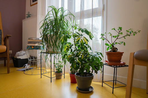 Photo de Avec l'EHPAD Huguette Henry à Retonfey (57645)