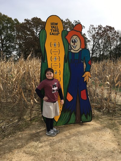 Cajun Country Corn home of Louisiana Maze LLC