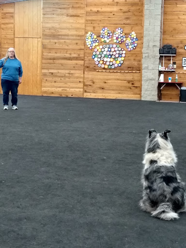 Total Recall School for Dogs Gallery - United States