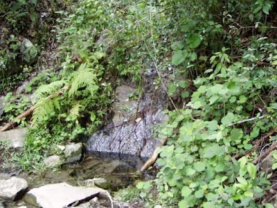 Photos of Parque Nacional de Turquino