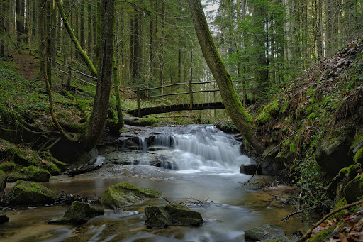 Strümpfelbachtal - Germany