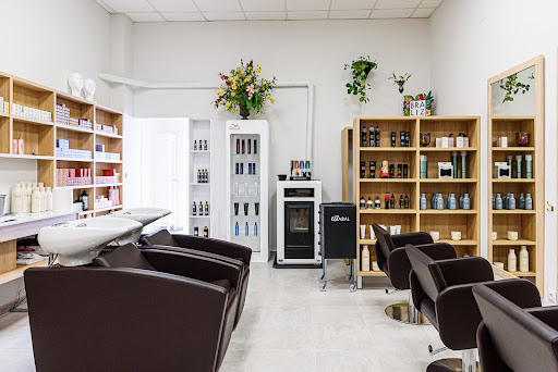 Salón Alcón - Visual