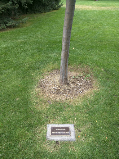 Easton M. Lietchy Memorial Tree