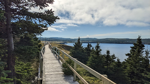 Western Bay Boardwalk - Thumbnail