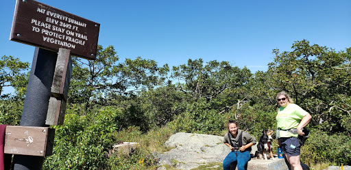 Mount Everett State Reservation - Visual