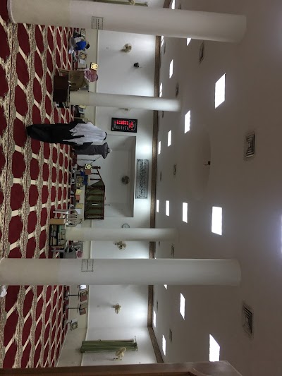 Photos of Al Nori