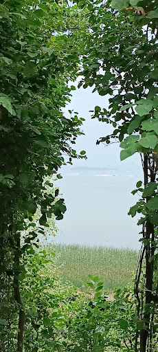 Pelican Island lookout point - Thumbnail