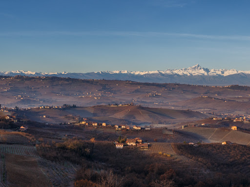 Langaround Piedmont Wine Tours and Food Experiences - Thumbnail