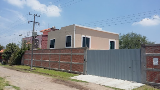 Cambu Cedis - Visual