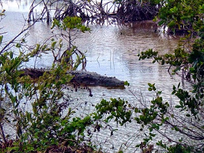 Photos of Cayo Coco
