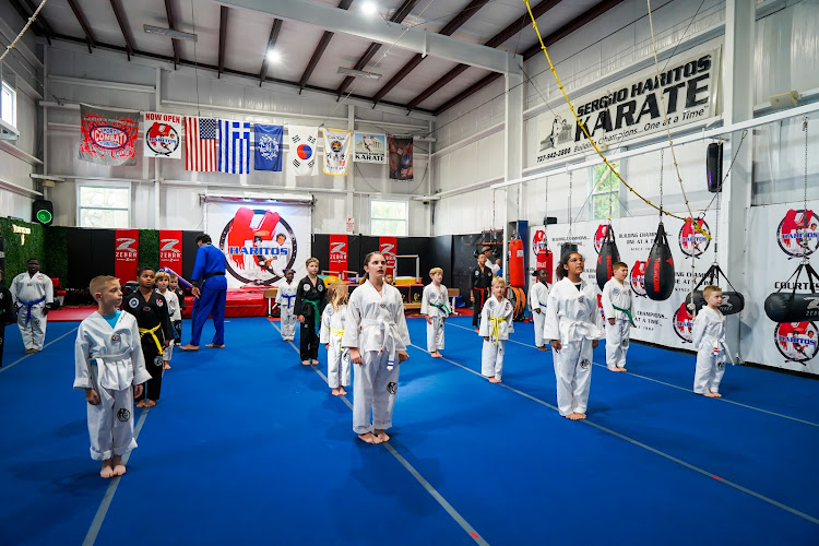 Haritos Martial Arts - kickboxing in Tarpon Springs, Florida