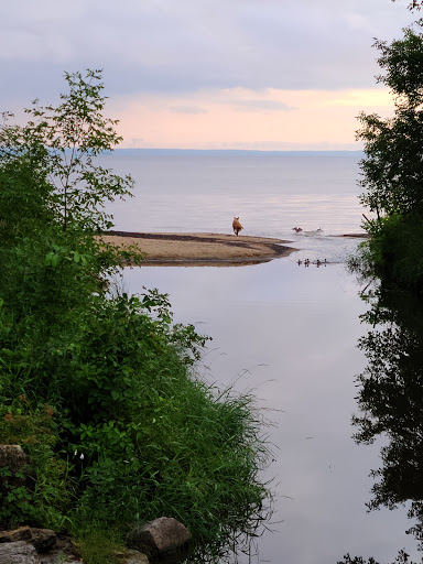 Eva Wardlaw Conservation Area - Thumbnail