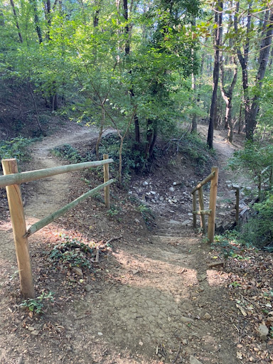 Clanz al ponticello (Parco Farneto) - Thumbnail