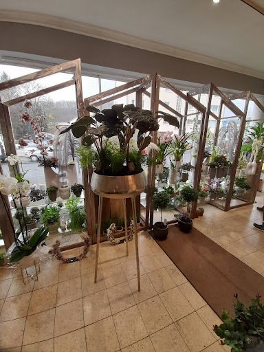 Blumenreich Floristmeister Robert Teckhaus