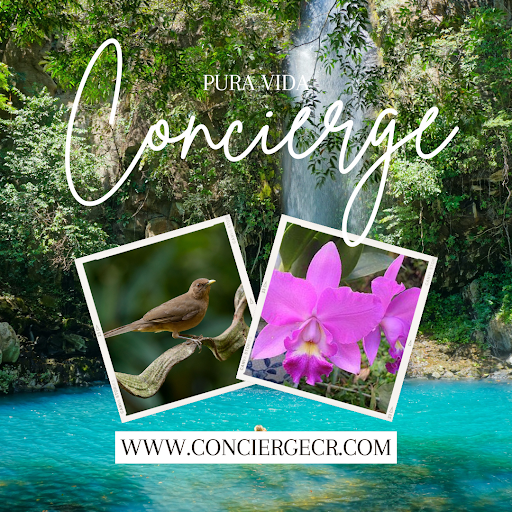 Pura Vida Concierge Services