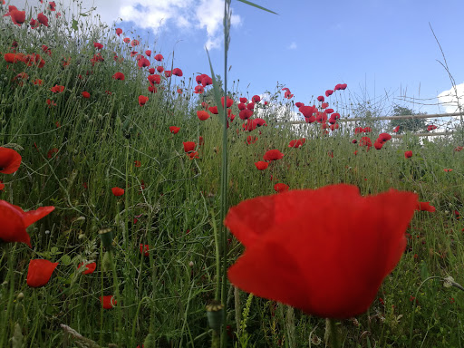Photo de Maison d'Accueil L'Epinette CCAS