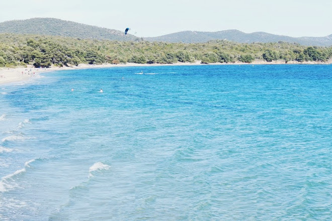 Visit Plage Du Pellegrin On Your Trip To La Londe Les Maures