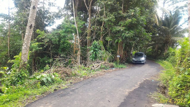 Dusun Kuning waterfall