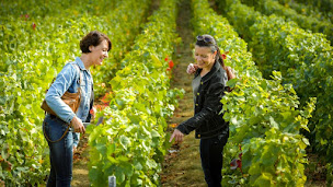 Photo n°5 de CHAMPAGNE STORY à Reims (Service de chauffeur privé)