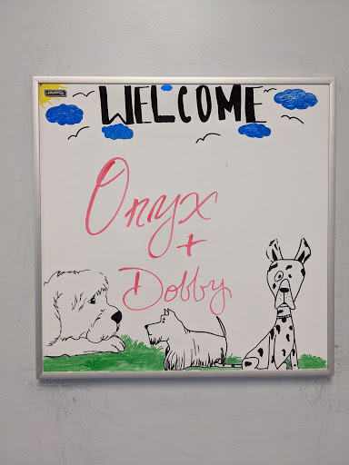 University Veterinary Center Gallery - United States