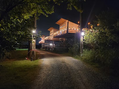 Tiger Safari Zoo