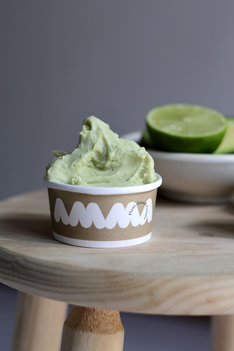 AMMA Gelato