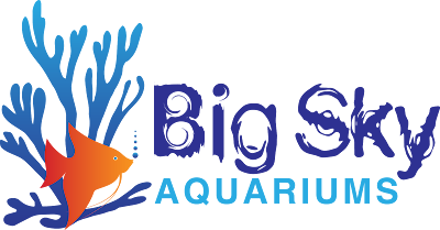 Big Sky Aquariums and Pet Supply