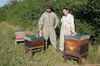 Entre Terre Et Miel à Marnay
