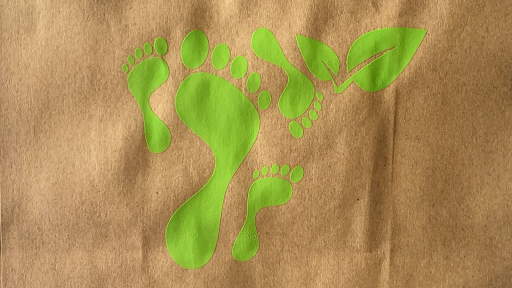 Petits Pieds By LaChance Logo