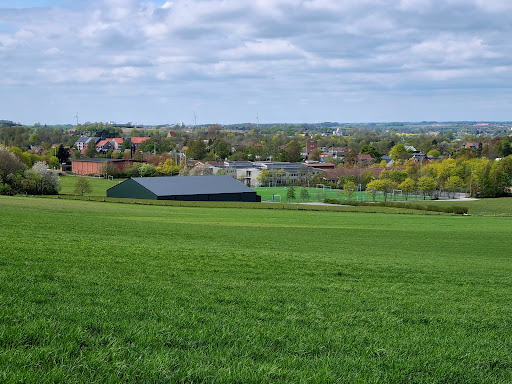 Skytteskogen - Visual