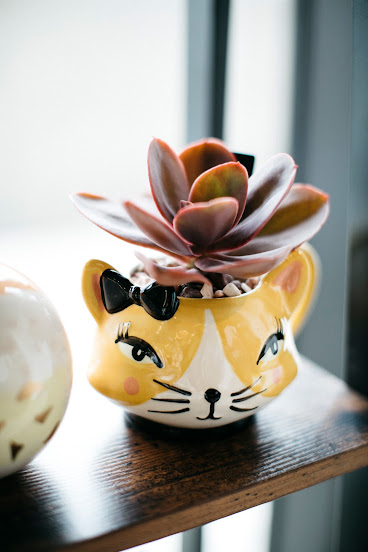 Talitha Coffee Roasters by null