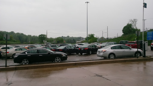 Ross Park and Ride - Thumbnail